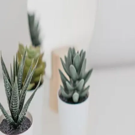 Torbogenhuus No 5 Comfortable