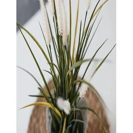 דירה Torbogenhuus No 5 Comfortable נורדרני